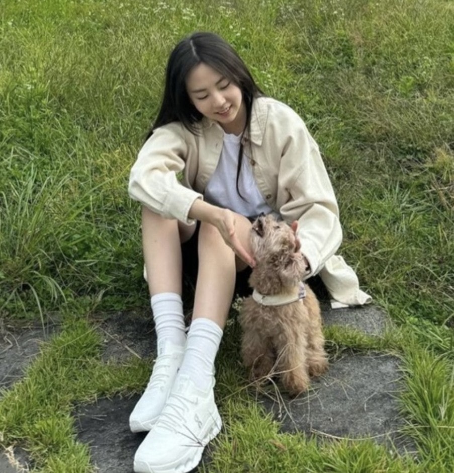 사용자가 올린 이미지